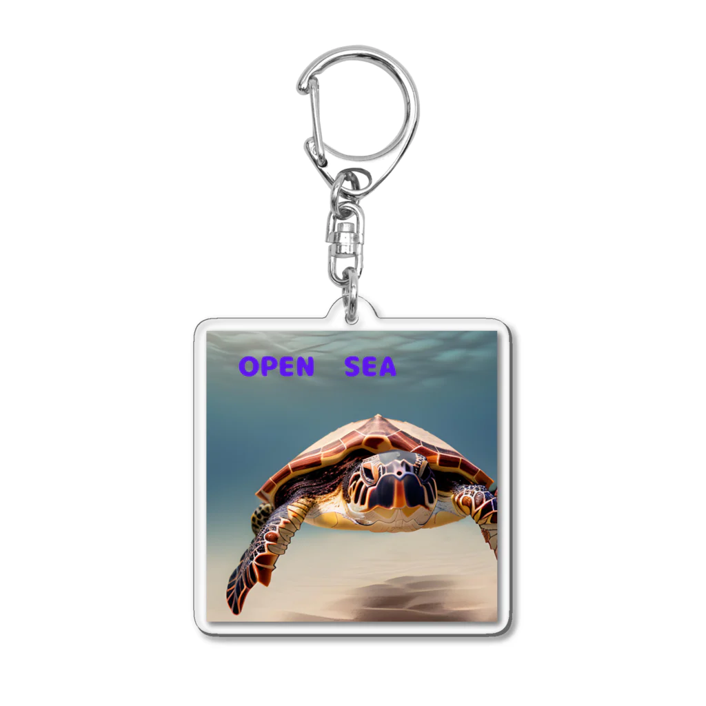 POPstore-japanのOPEN　SEA Acrylic Key Chain