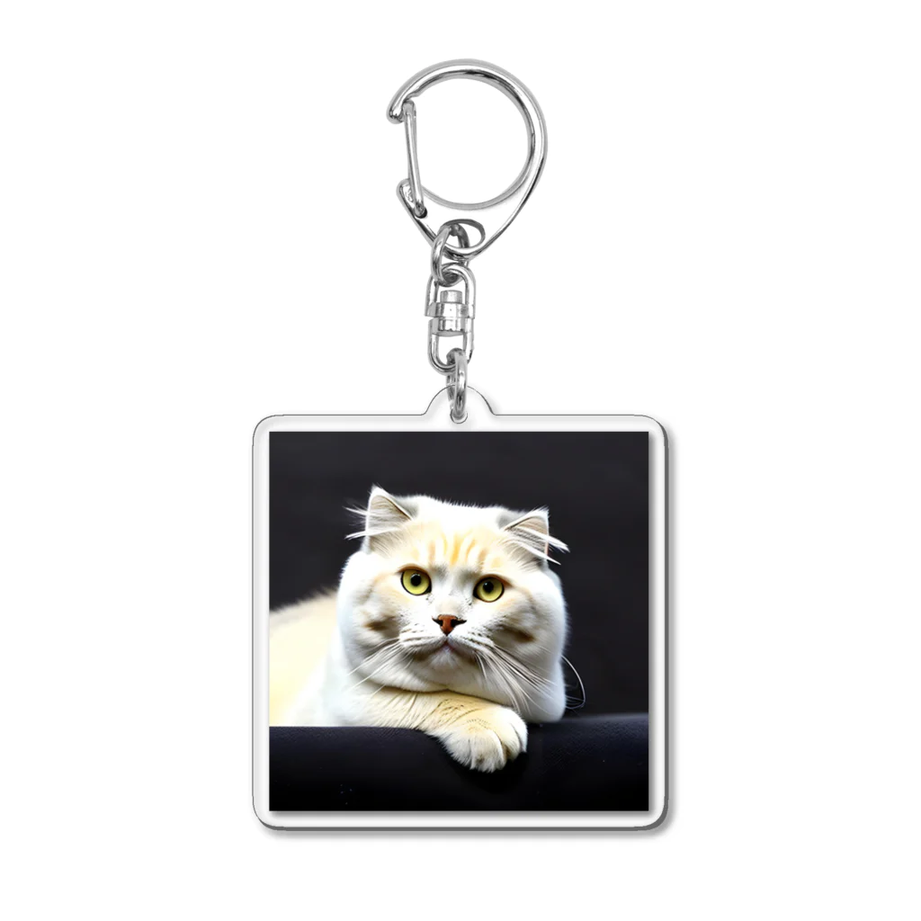 Animal-goodsのかわいい猫ちゃんの写真 Acrylic Key Chain