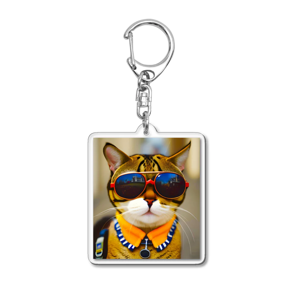 幻想的で創造的の猫にサングラス Acrylic Key Chain