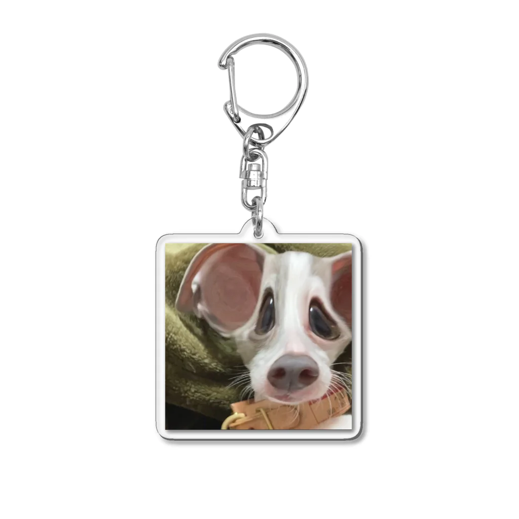 こはちのスピってる犬  Acrylic Key Chain