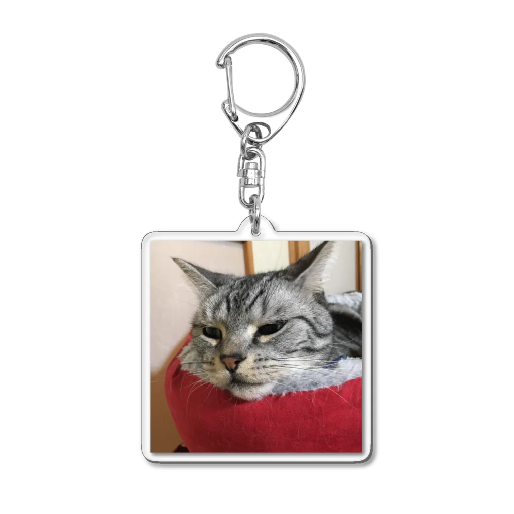 ねこノートのあごのせ寝 Acrylic Key Chain