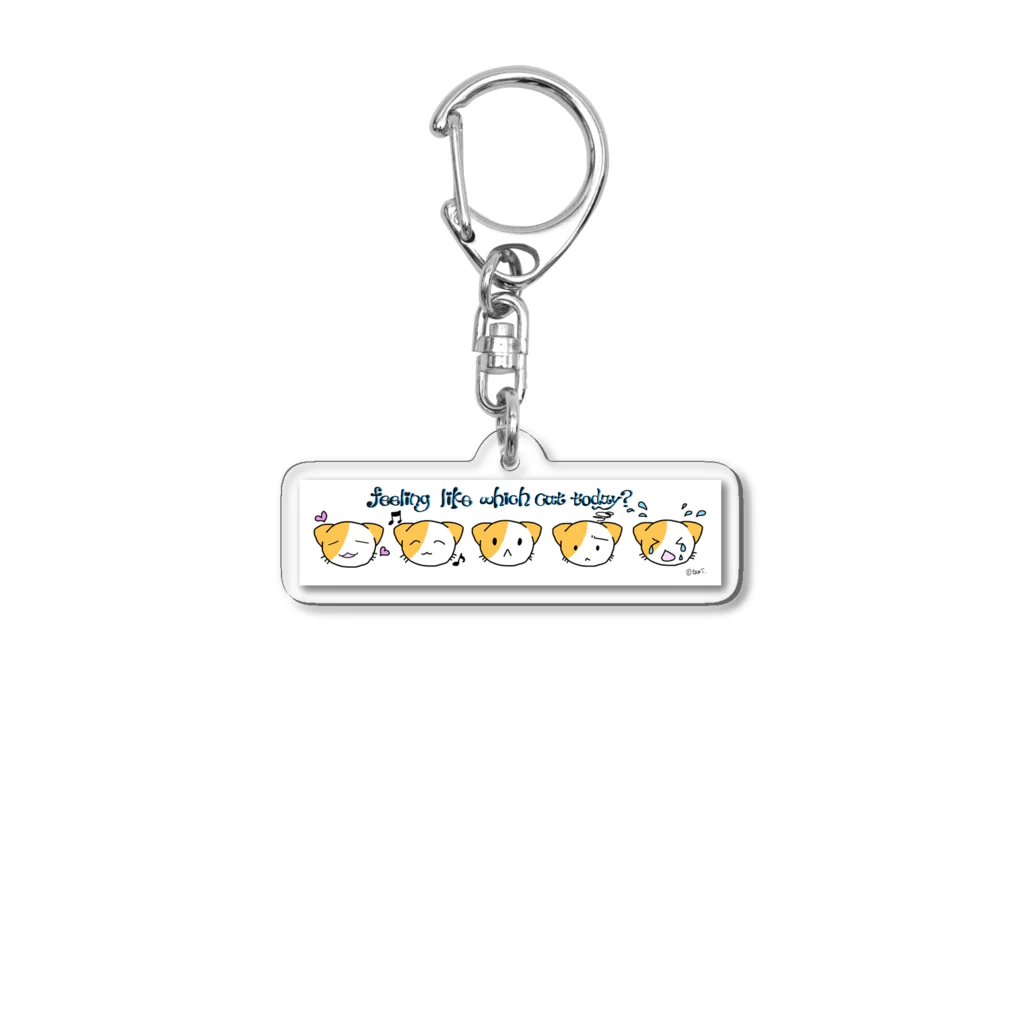 たみ★ずかんのにゃんフェイススケール Acrylic Key Chain