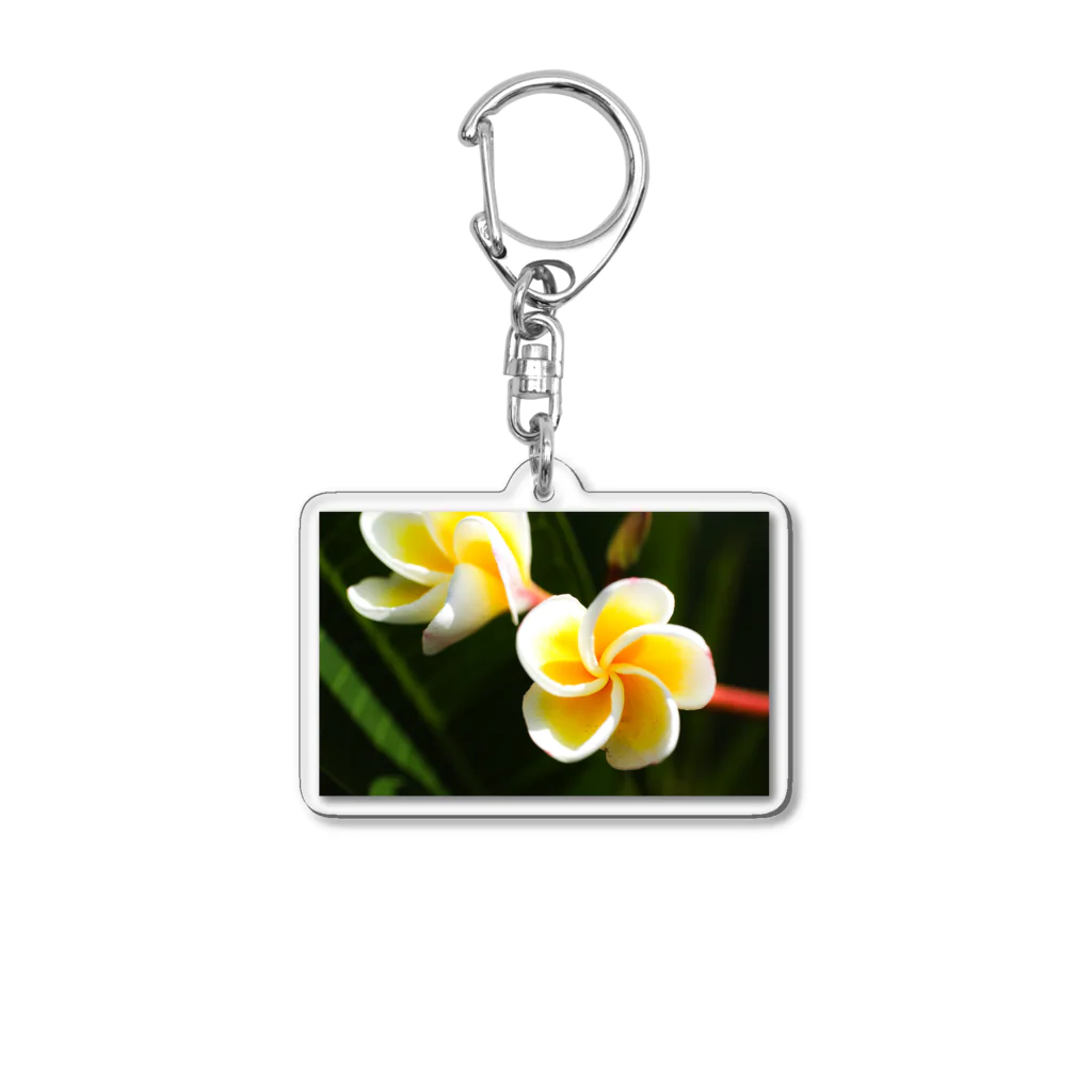 kamakiri3のFlower of the Heart　プルメリア Acrylic Key Chain