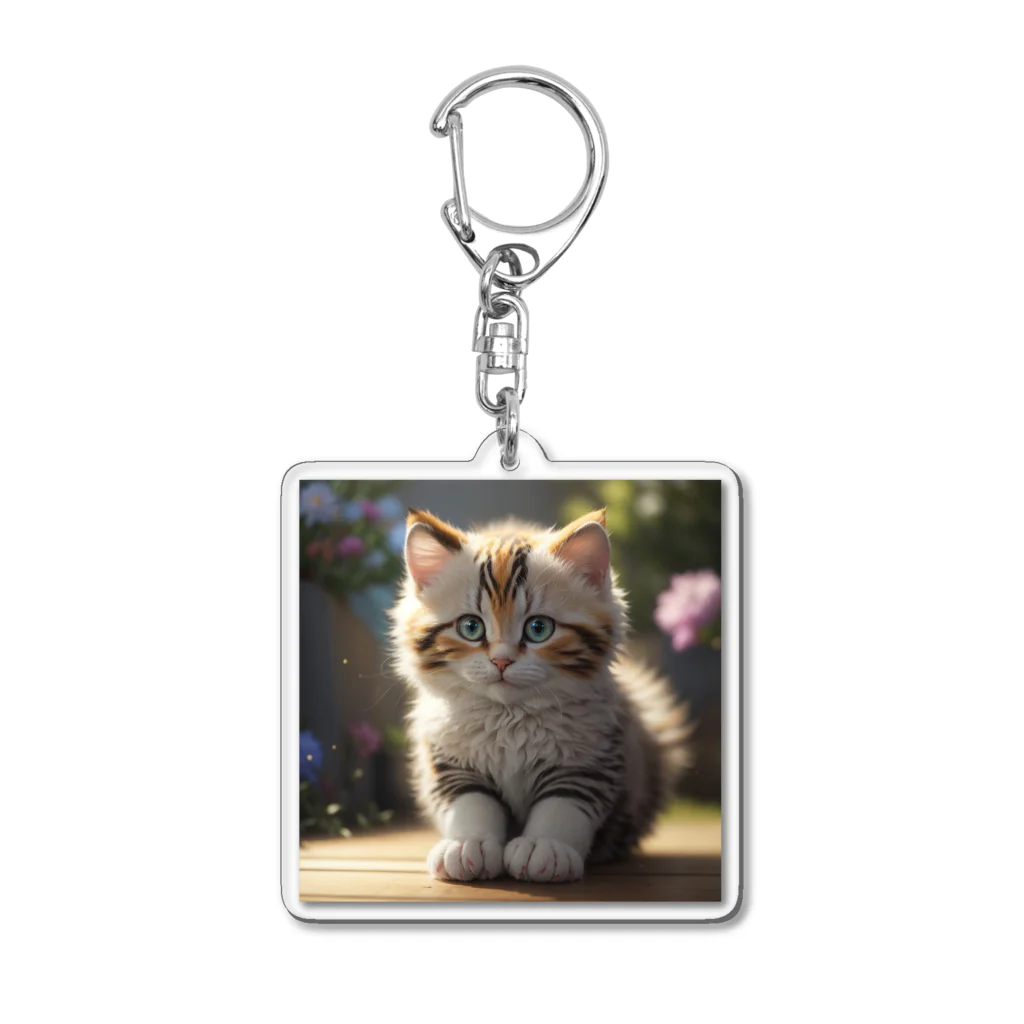 moonshine_fukurouの愛くるしい猫目線 Acrylic Key Chain