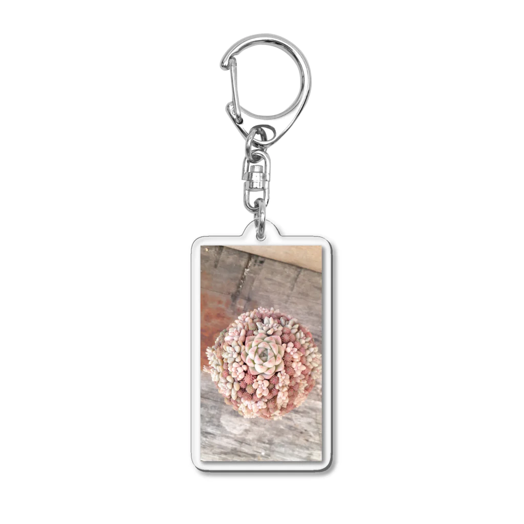 Succulent artist amt の桜色寄せ植え Acrylic Key Chain