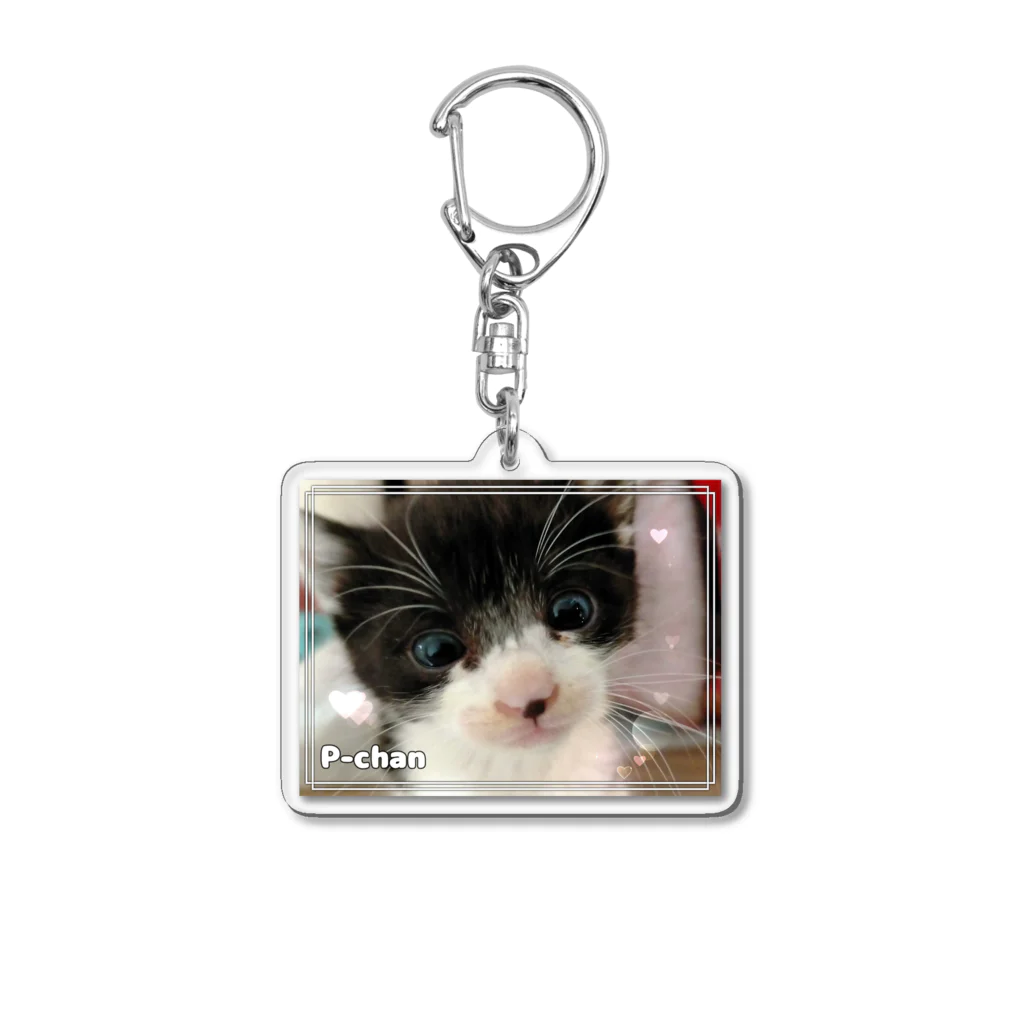 nekousagi*∩..∩の保護猫うるうるPちゃん Acrylic Key Chain