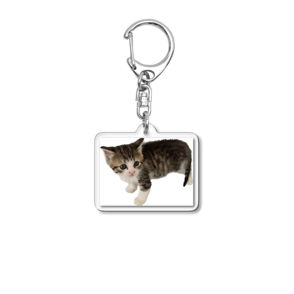 マスターPの小さい猫　ツブちゃん Acrylic Key Chain