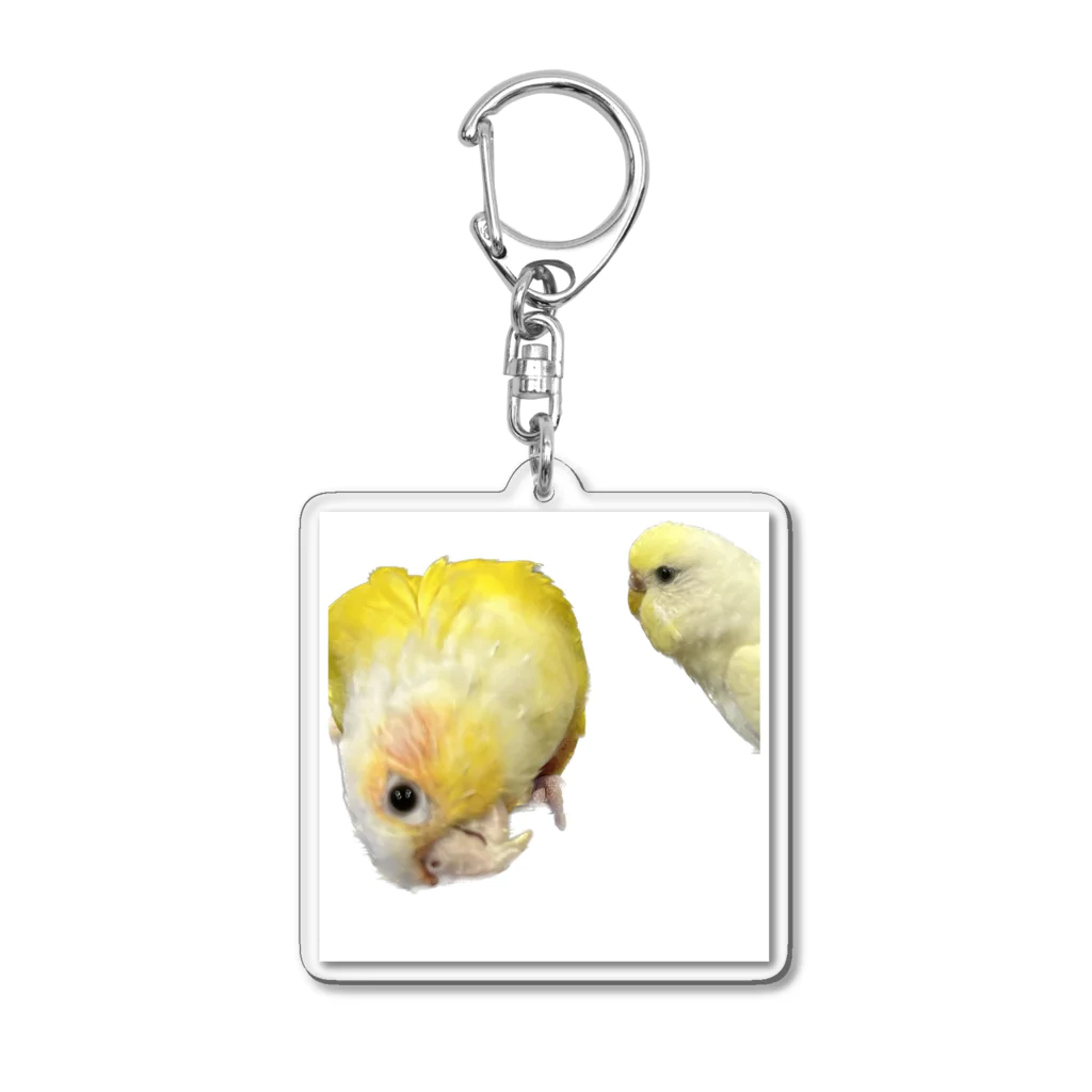 グラリムランドのもしもし？はいはいみたいな2羽 Acrylic Key Chain