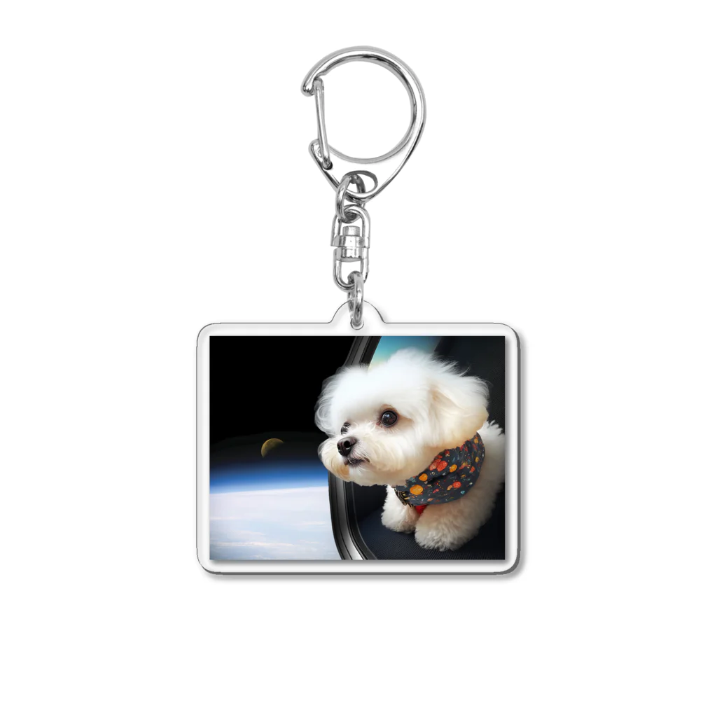 ワンダフル！マルチーズ！のスペース・マルチーズ Acrylic Key Chain