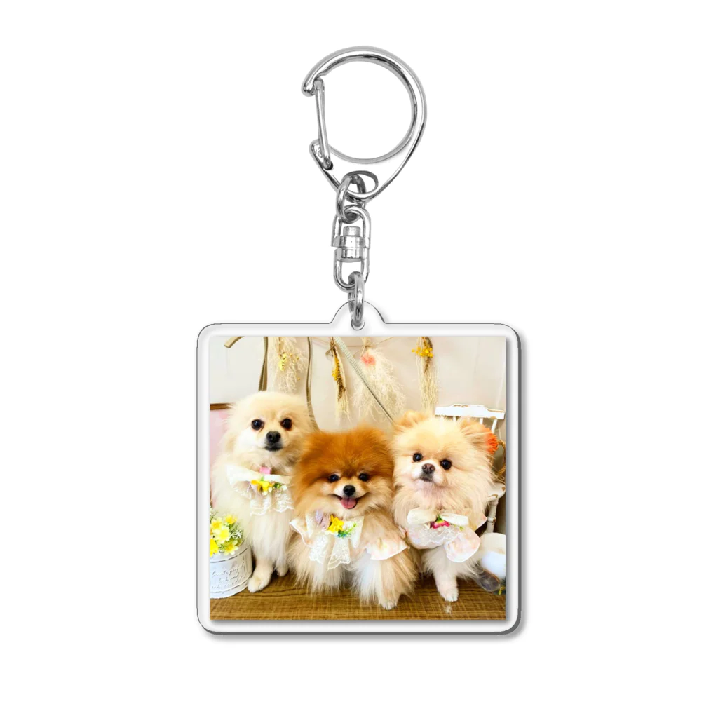 3pomeranian-leo-house　グッズショップのPomeranianlovers　ポメラニアン Acrylic Key Chain