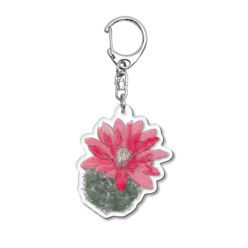 WAKE800のサボテン〜緋花玉〜 Acrylic Key Chain