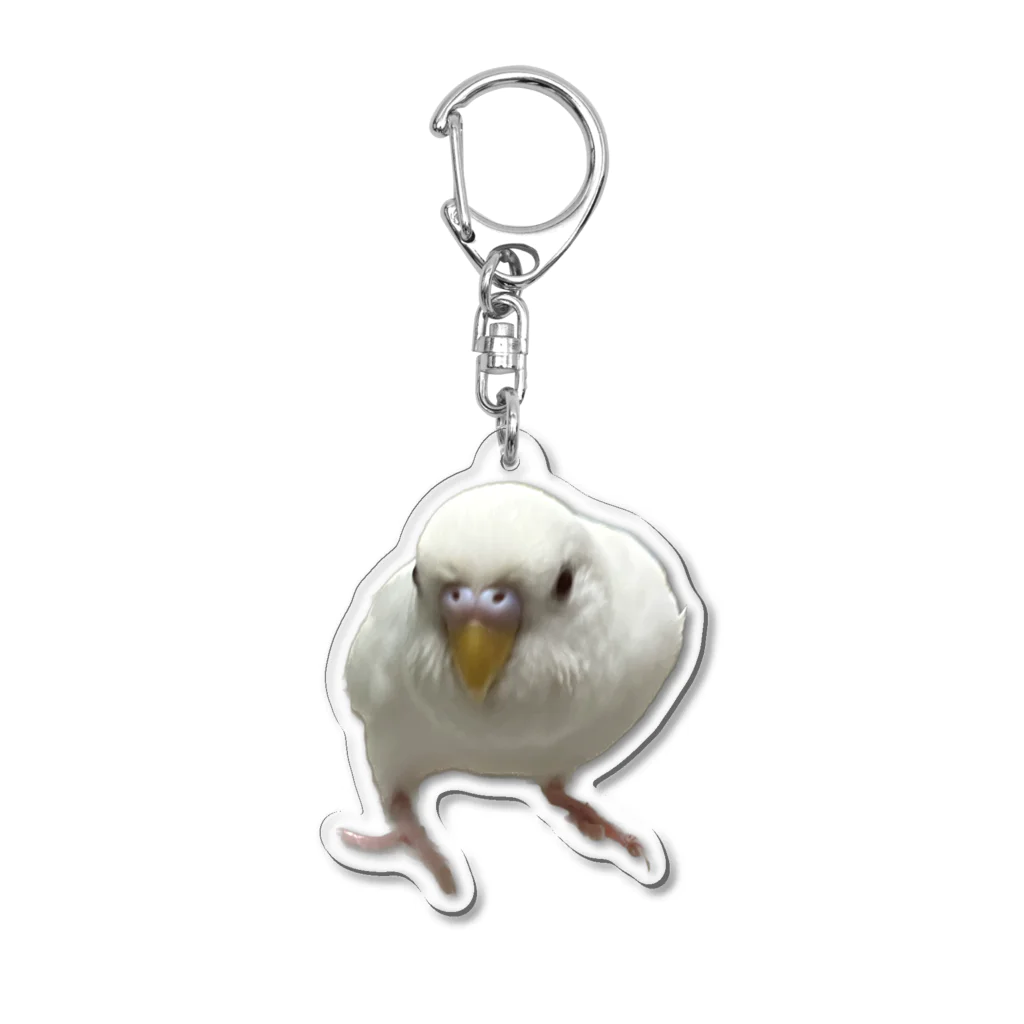 みぽりんショップのアルビノセキセイインコハクちゃん アクリルキーホルダー