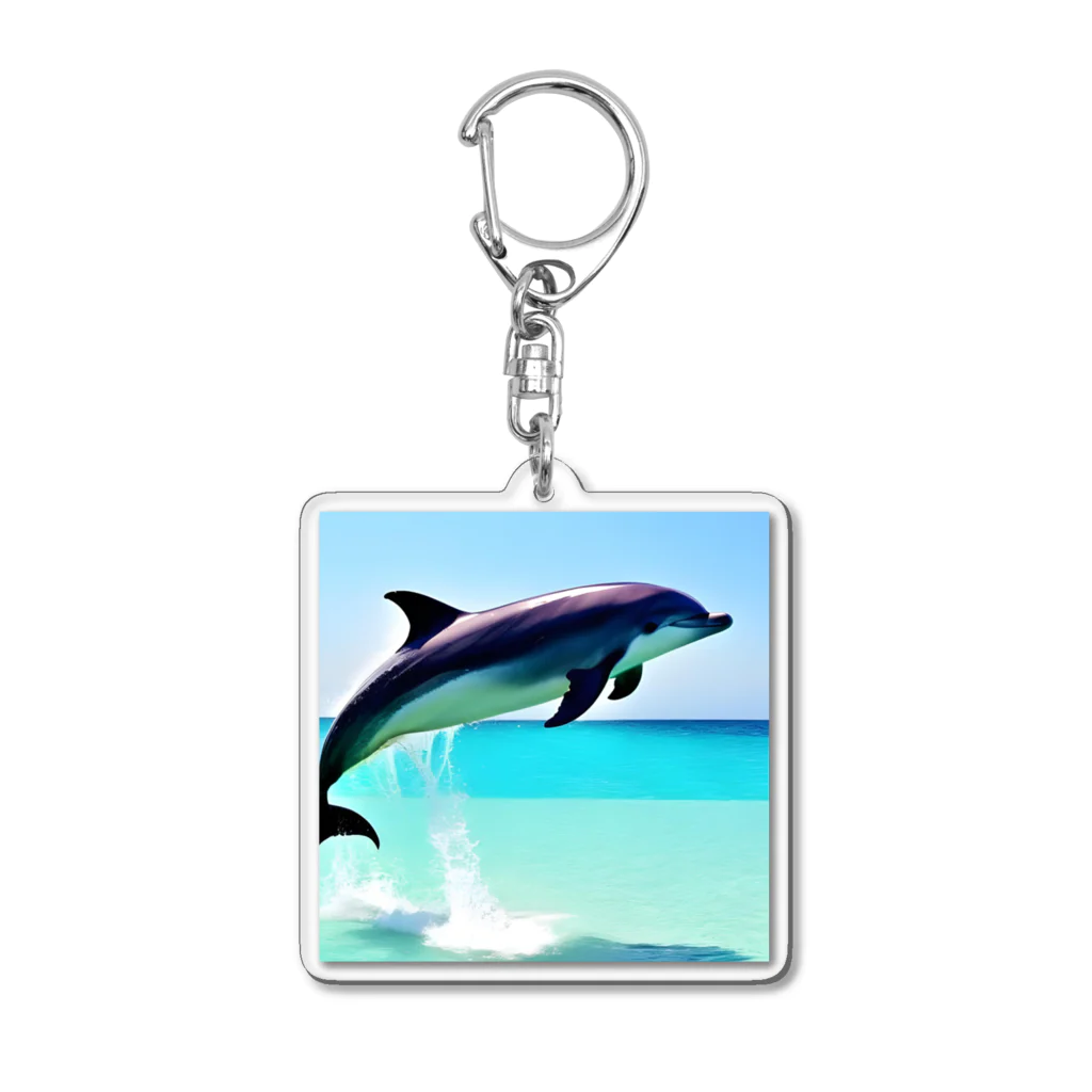 slowlife365のドルフィン Acrylic Key Chain