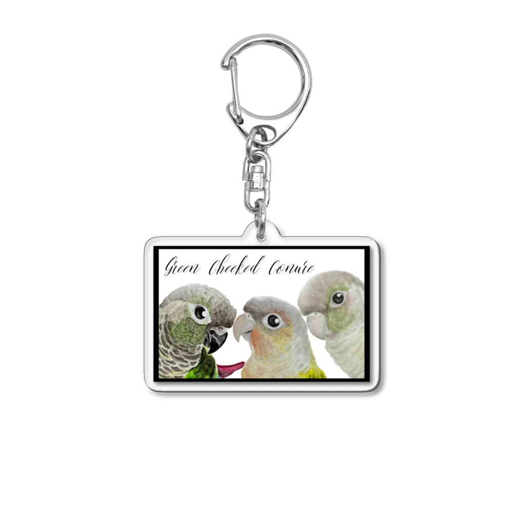 mariechan_koboの049 ウロコインコset シンプルフレームB Acrylic Key Chain