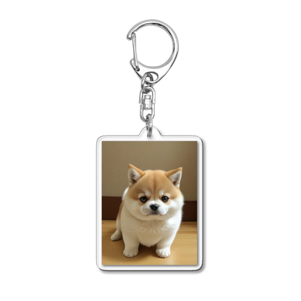 pet_daisukiのシーバ君 Acrylic Key Chain