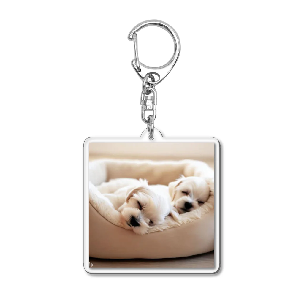 HoneyBabyのあなたの愛犬(おやすみマルチーズ) Acrylic Key Chain