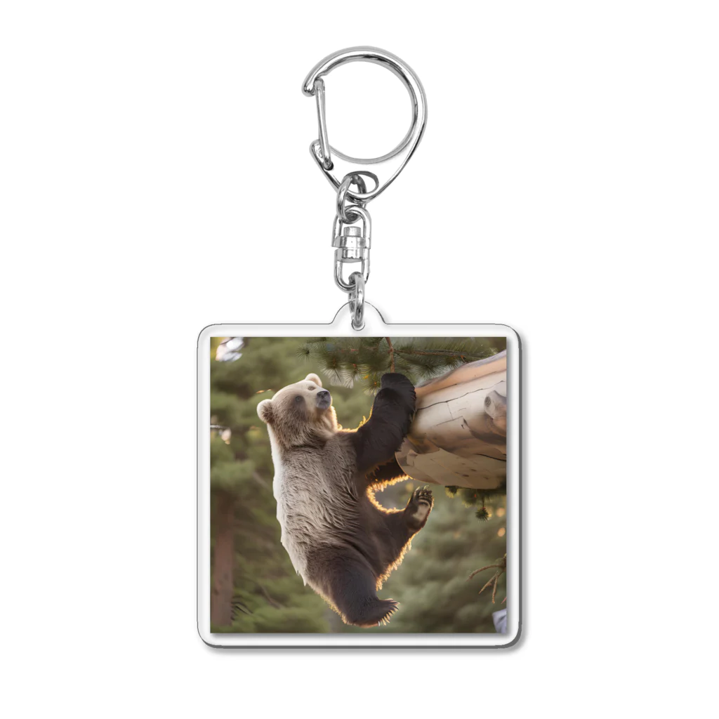 Cloretsの木に登るクマのグッズ Acrylic Key Chain