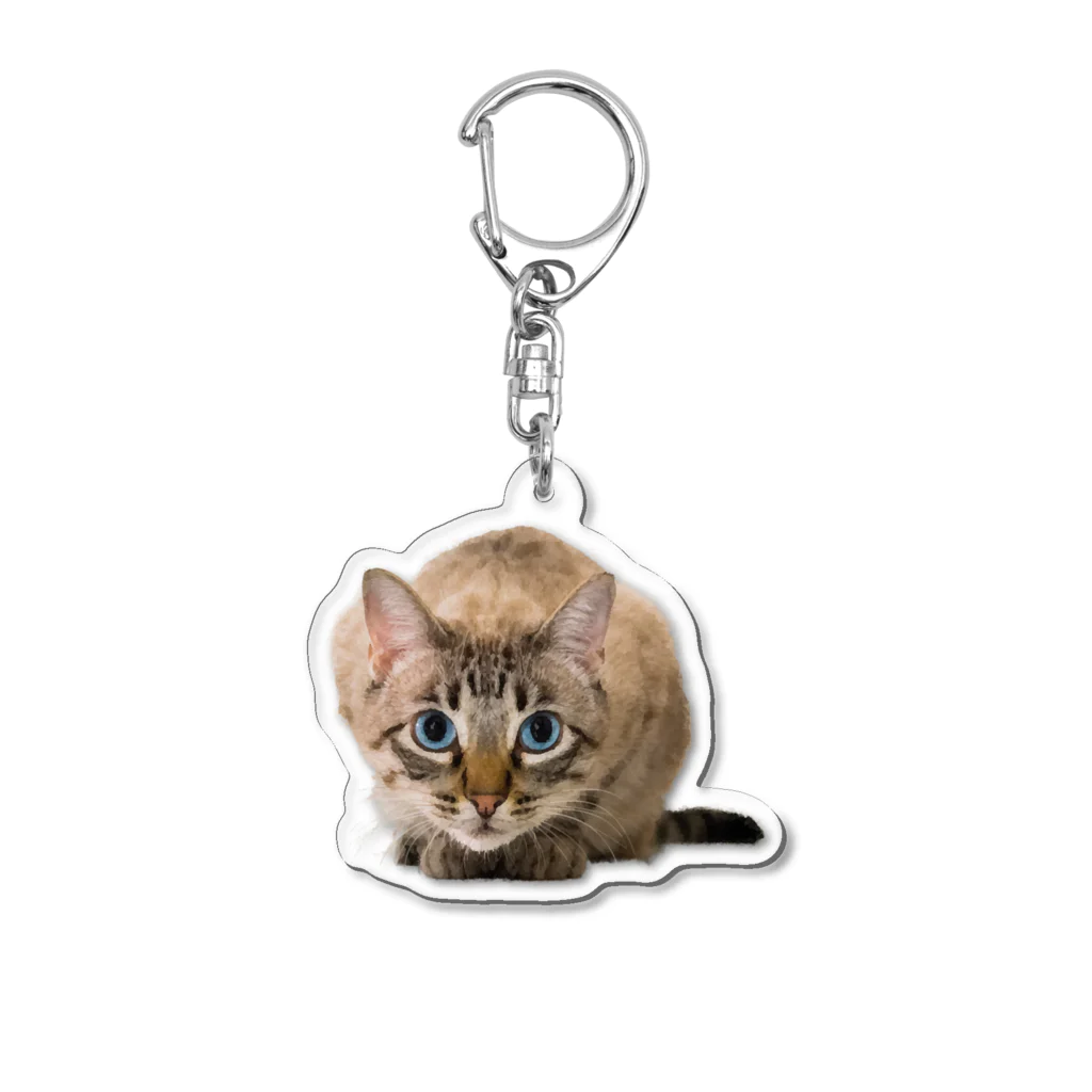 bitpiyoのねこちゃん Acrylic Key Chain