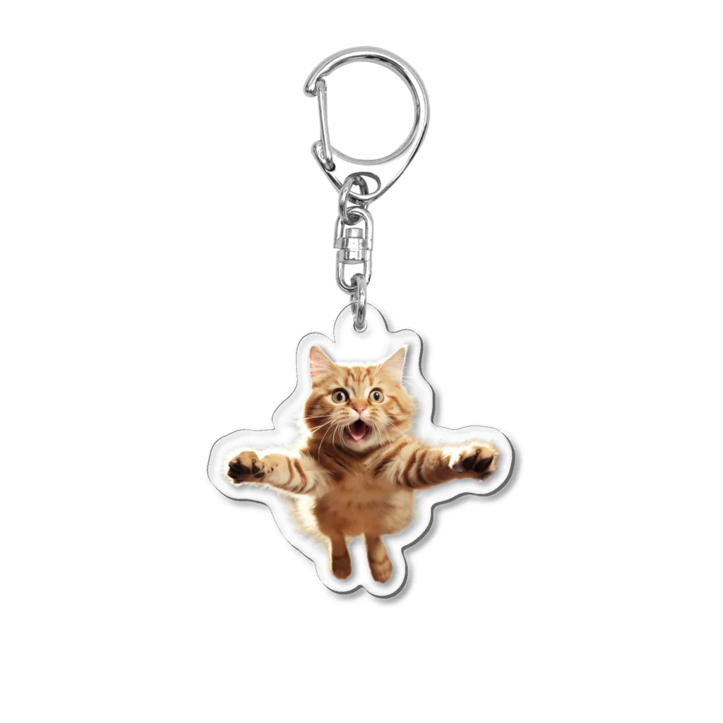 縞模様の飛び付きそうな猫 Acrylic Key Chain