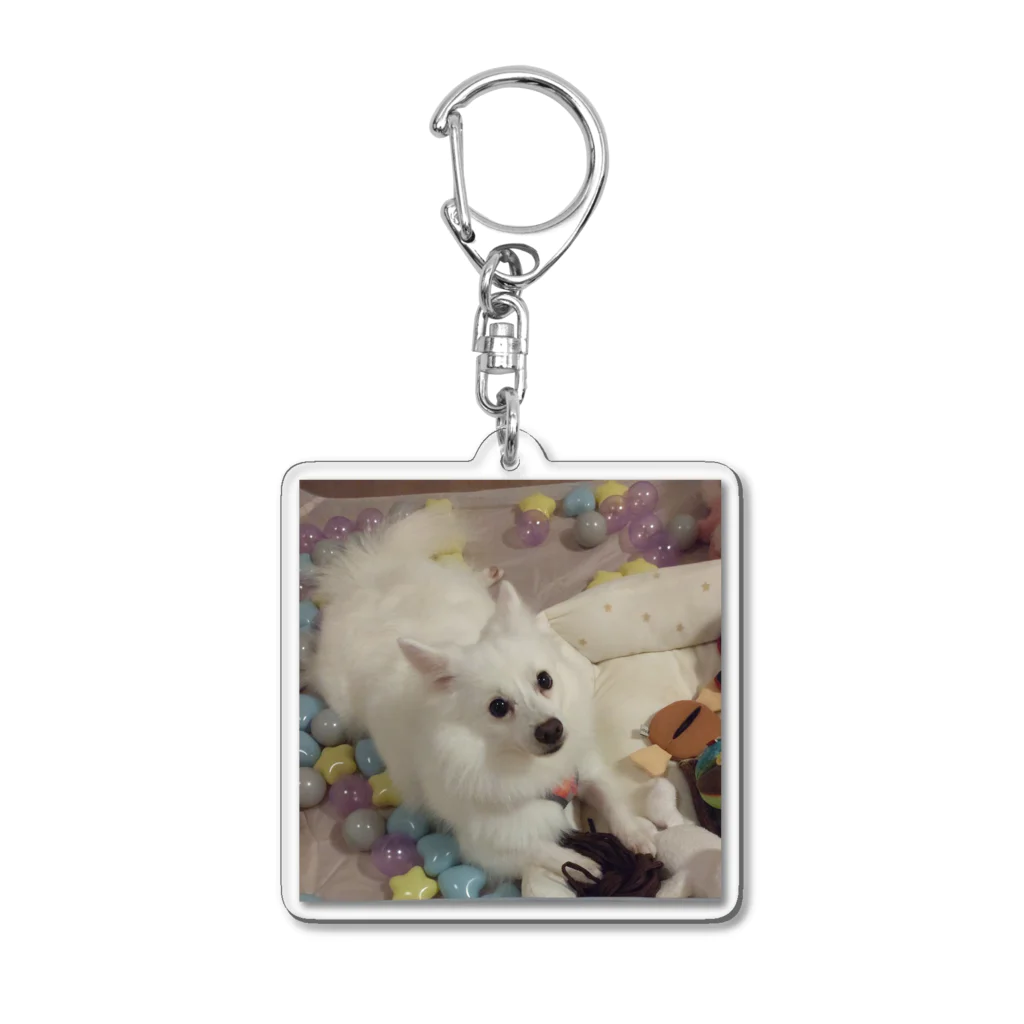 MIPA♥の愛犬パールグッズ　Mipa♥日本スピッツ Acrylic Key Chain