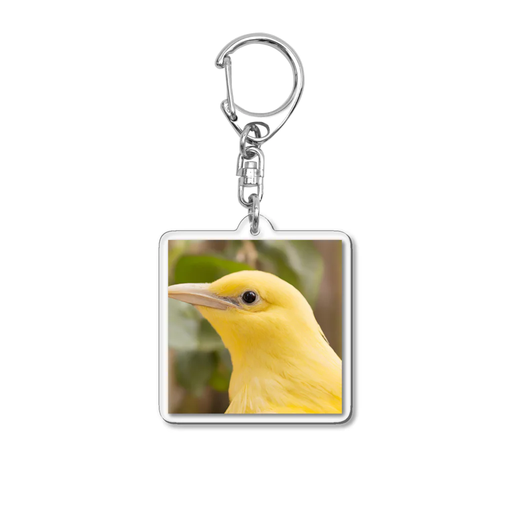 Happy Bird の黄色い鳥の横顔 Acrylic Key Chain