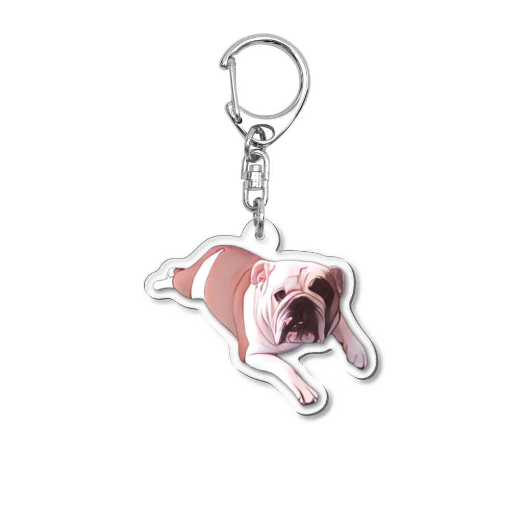 カラフルキャンバス　colorful canvasのおねだりわんこ Acrylic Key Chain