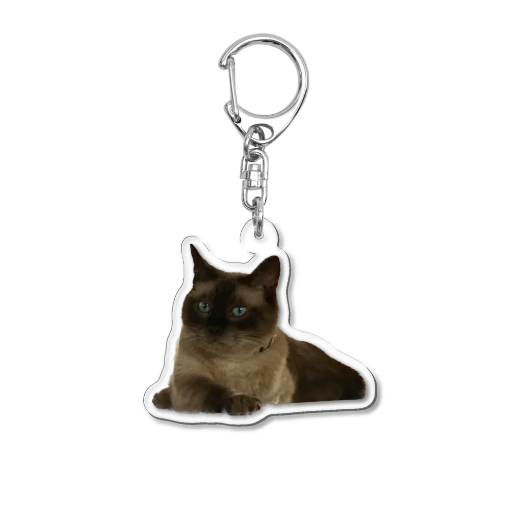 にくみその義実家猫ちゃん Acrylic Key Chain