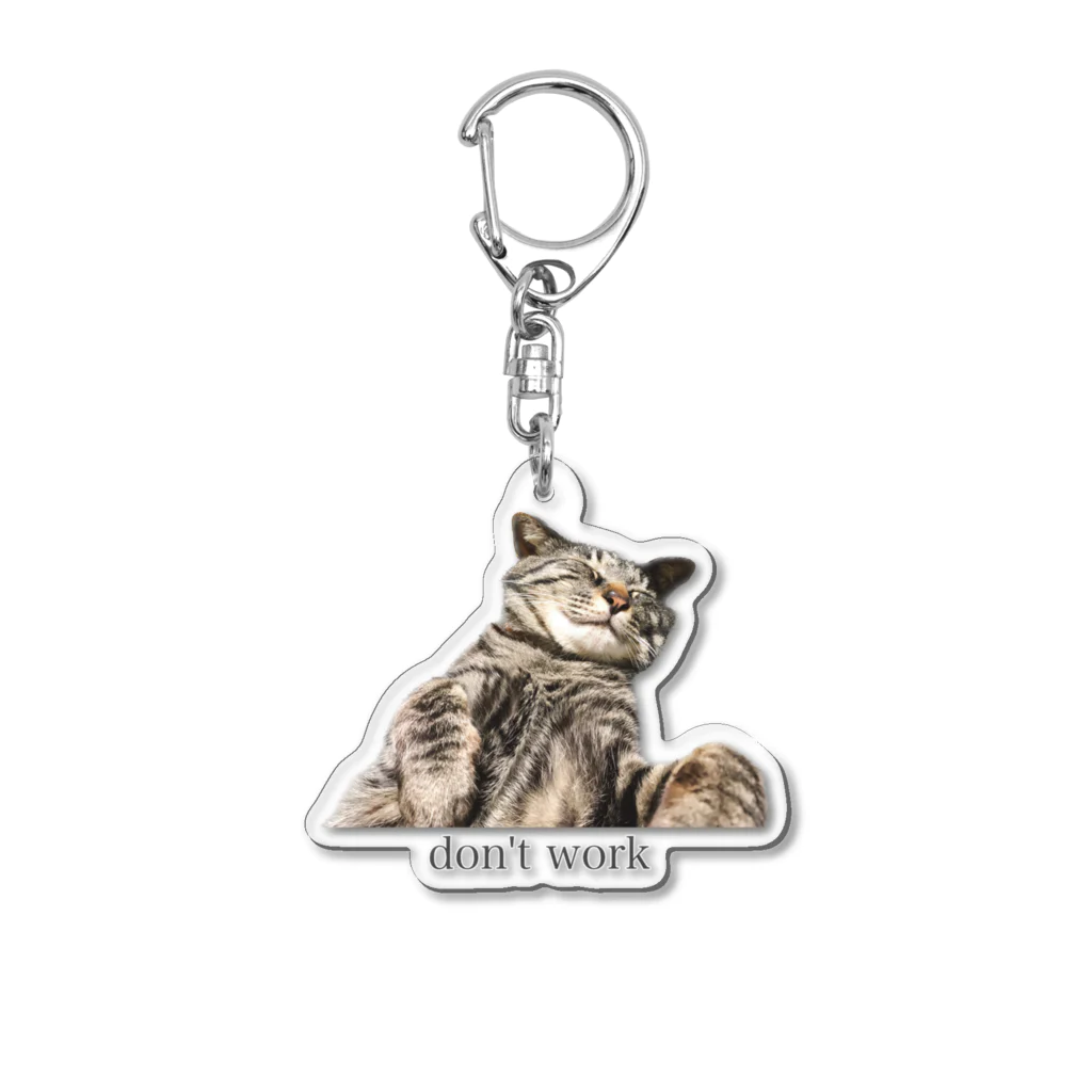 保護猫しじみの仕事しない保護猫しじみ Acrylic Key Chain