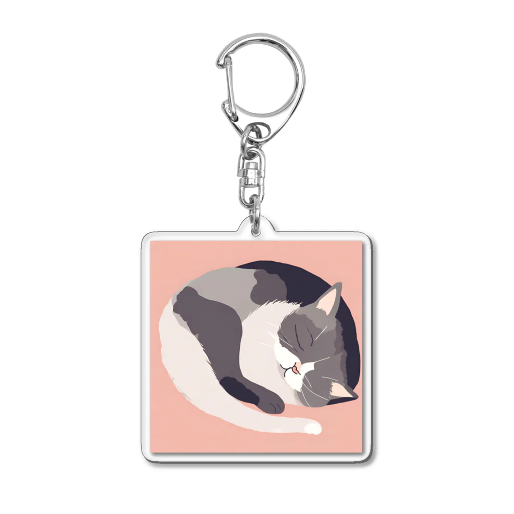 銀の時の寝ている猫のイラスト Acrylic Key Chain