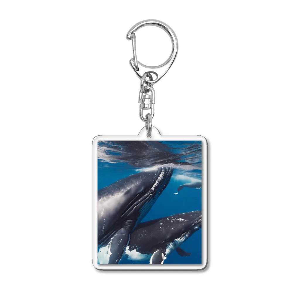 Fasterのシロナガスクジラ　親子 Acrylic Key Chain