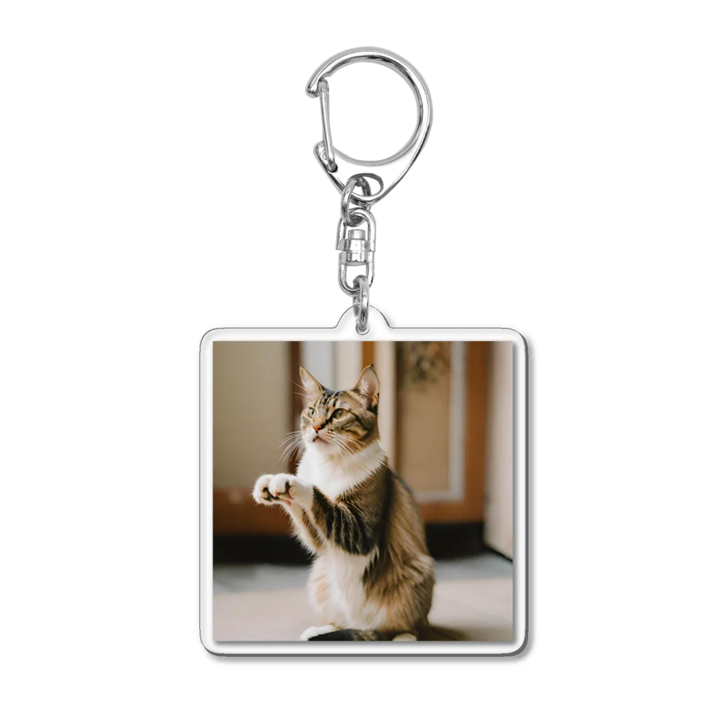 ことこと♂@トレーダーのおねだりする猫 Acrylic Key Chain