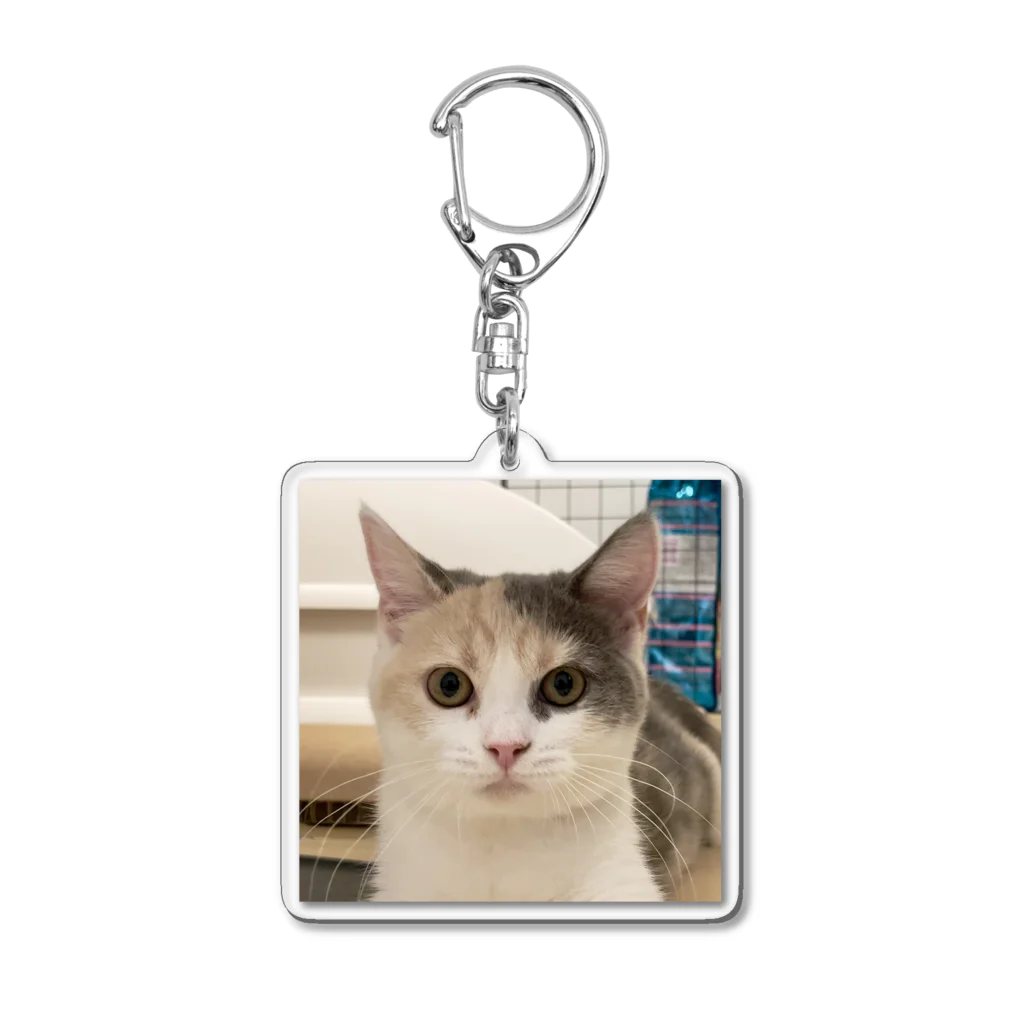 りんちゃんねるのりんちゃん Acrylic Key Chain