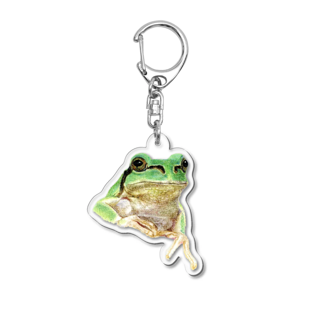 森口慶一　絵画グッズ　の色鉛筆画　『アマガエル』 Acrylic Key Chain