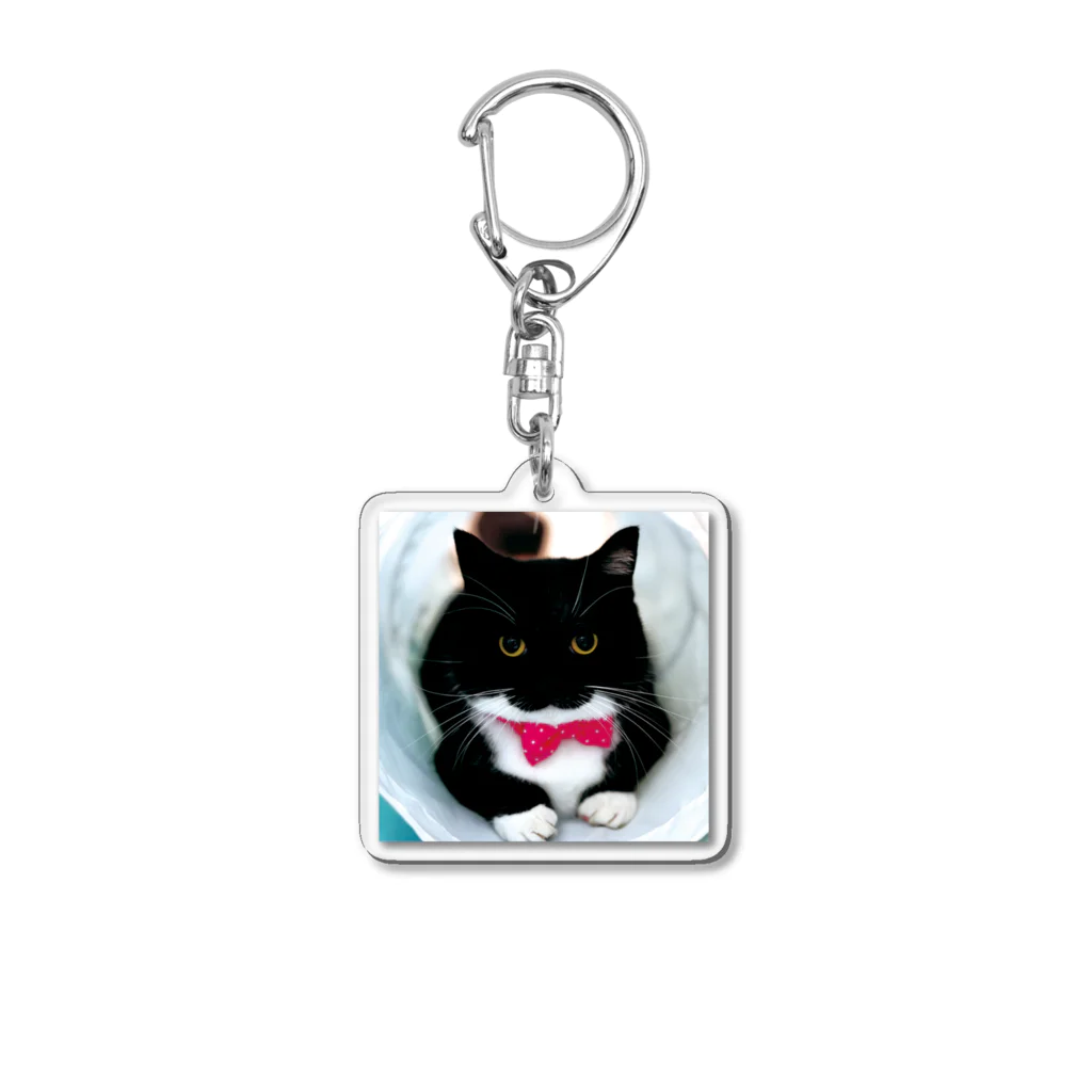 unico_uniuniのミヌエットのうに⑥ Acrylic Key Chain