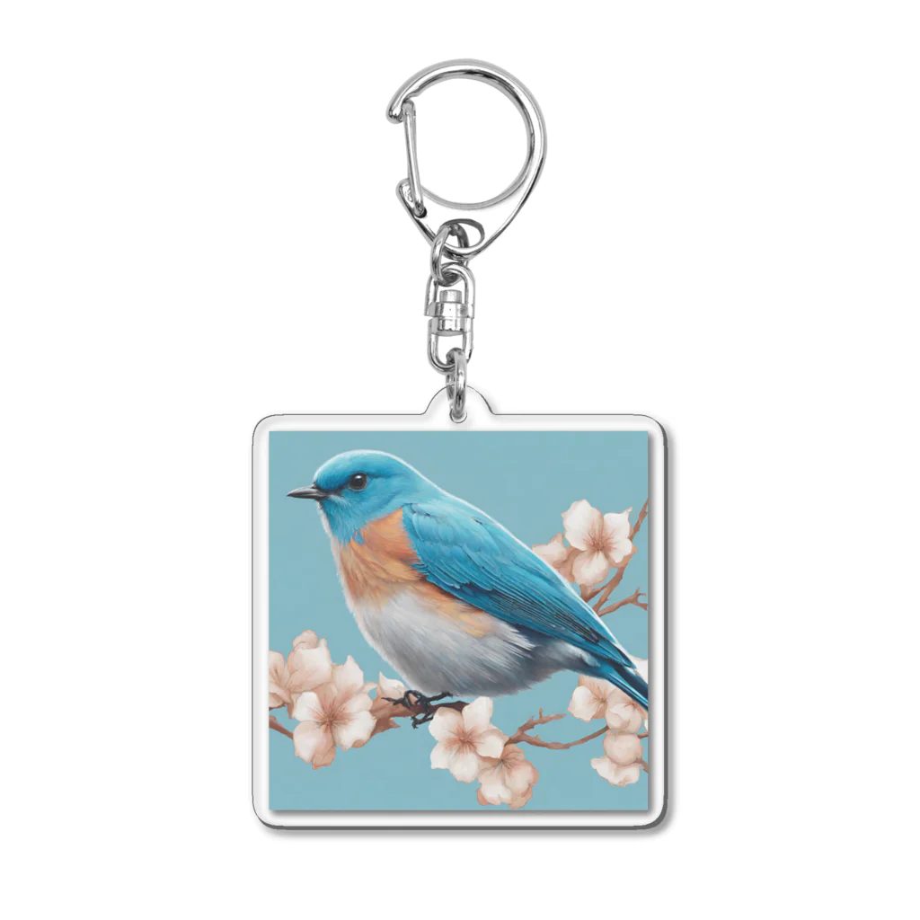 ❤︎cute❤︎のbeautiful blue bird アクリルキーホルダー