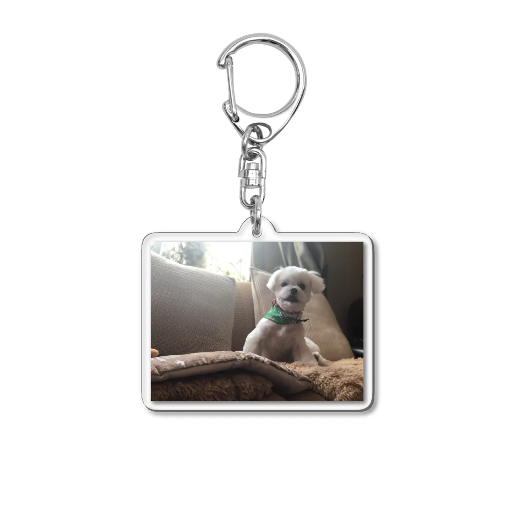 Doggyman_bowwowのふくまるさんあいどる Acrylic Key Chain