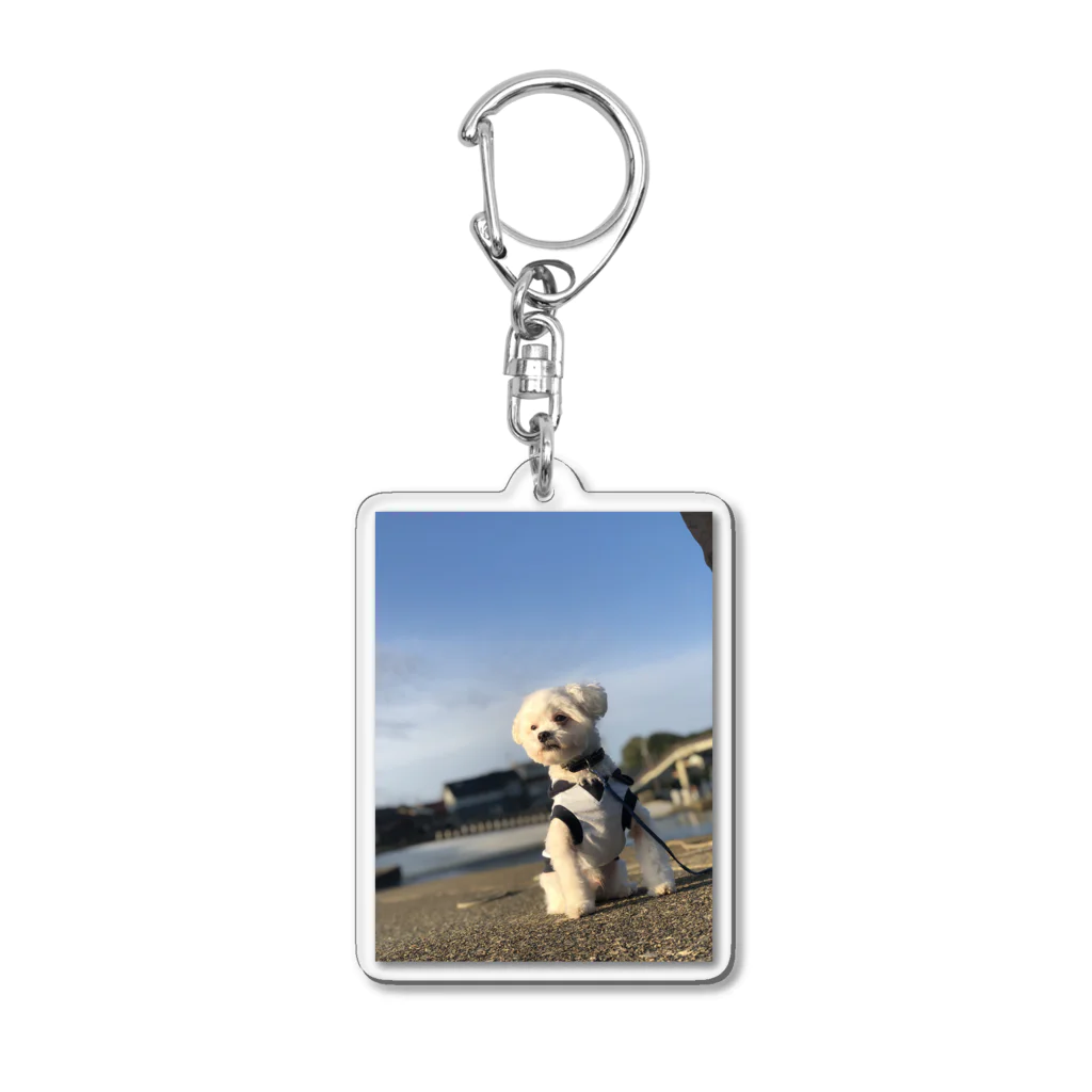 Doggyman_bowwowのエモまるくん Acrylic Key Chain