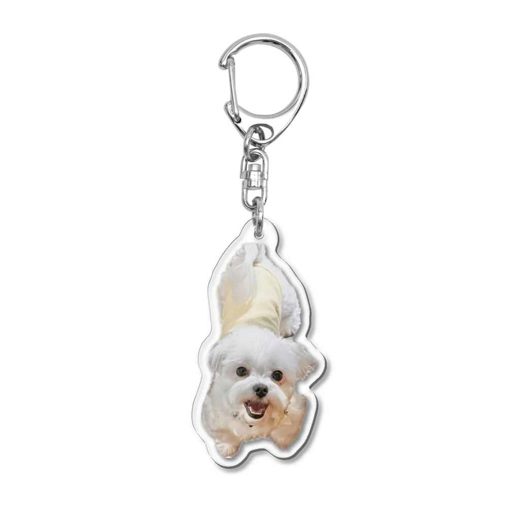 Doggyman_bowwowのなにわろてんねんドッグ Acrylic Key Chain