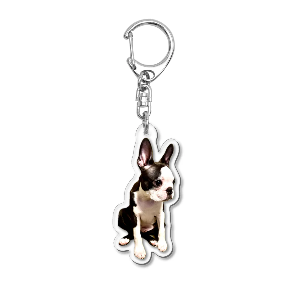 Komugi_bostonterrierのボステリのこむぎ Acrylic Key Chain