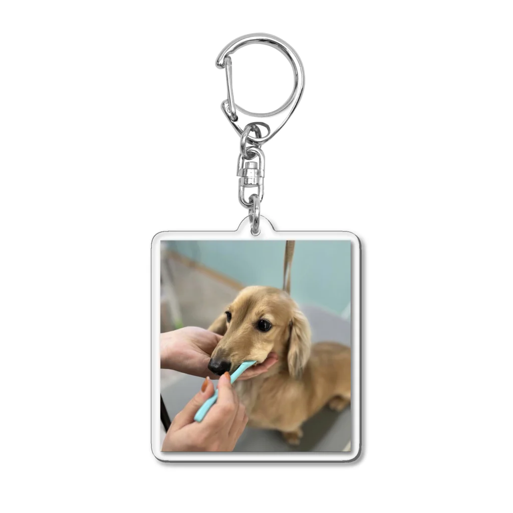 スナック まつげのカニンヘンダックスの歯磨き Acrylic Key Chain