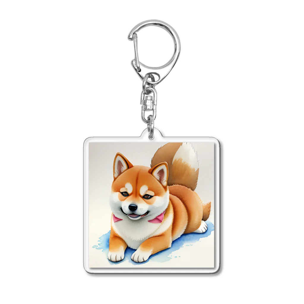 shIbaのシバの眼差し Acrylic Key Chain