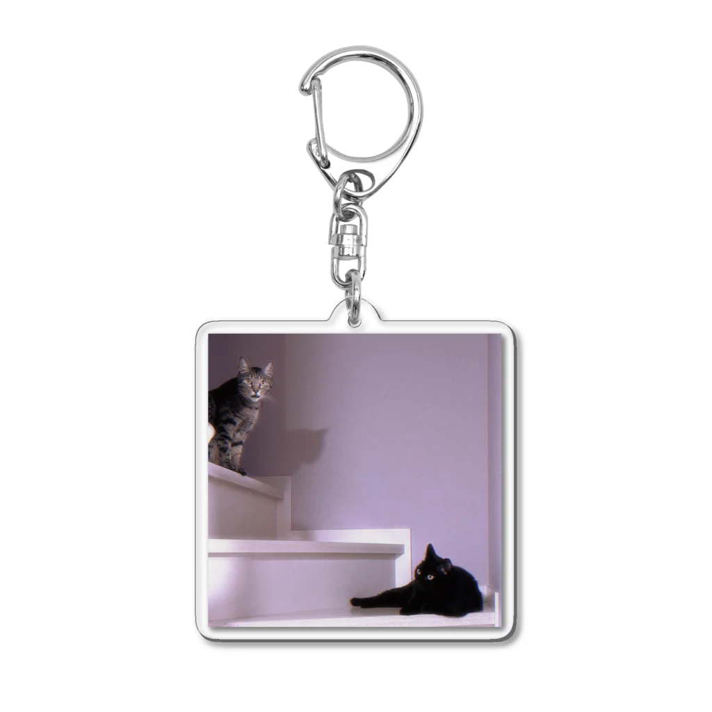 dishの階段の猫 Acrylic Key Chain