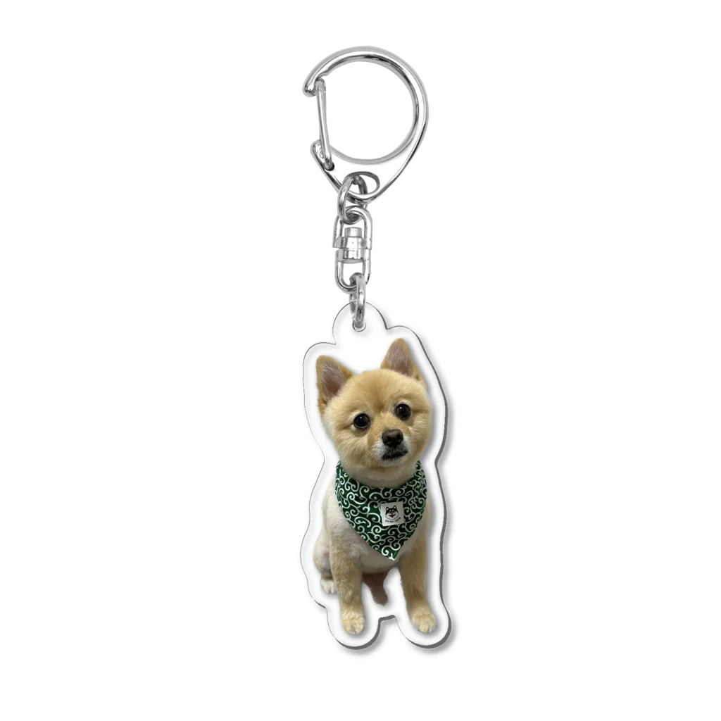 ポメラニアンのポメくん【公式グッズ】のポメラニアンのポメくん Acrylic Key Chain