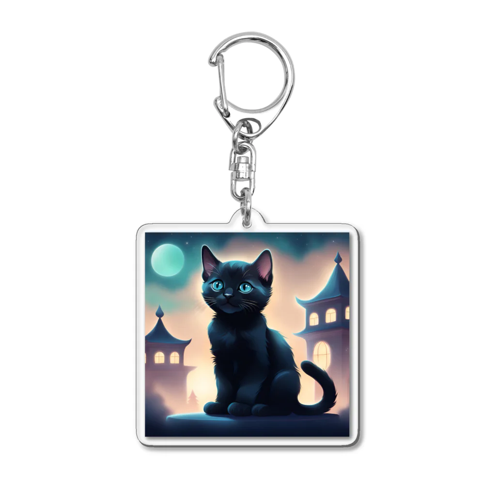 1shina2の夜猫 Acrylic Key Chain