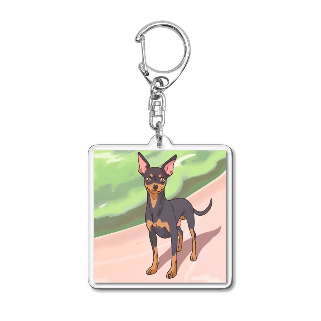 スプラッシュルークのミニピンのイラストグッズ Acrylic Key Chain