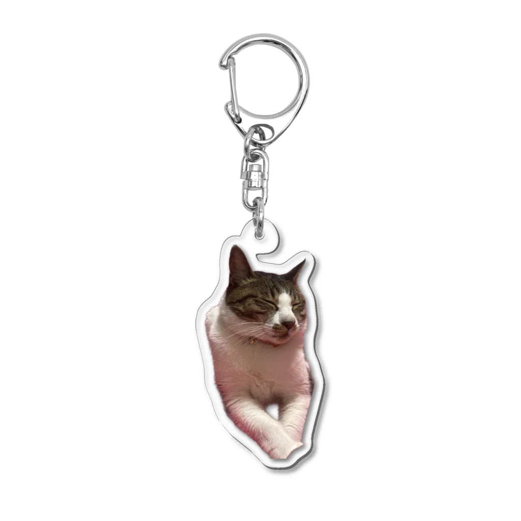 rhythm the catの眠る猫 Acrylic Key Chain