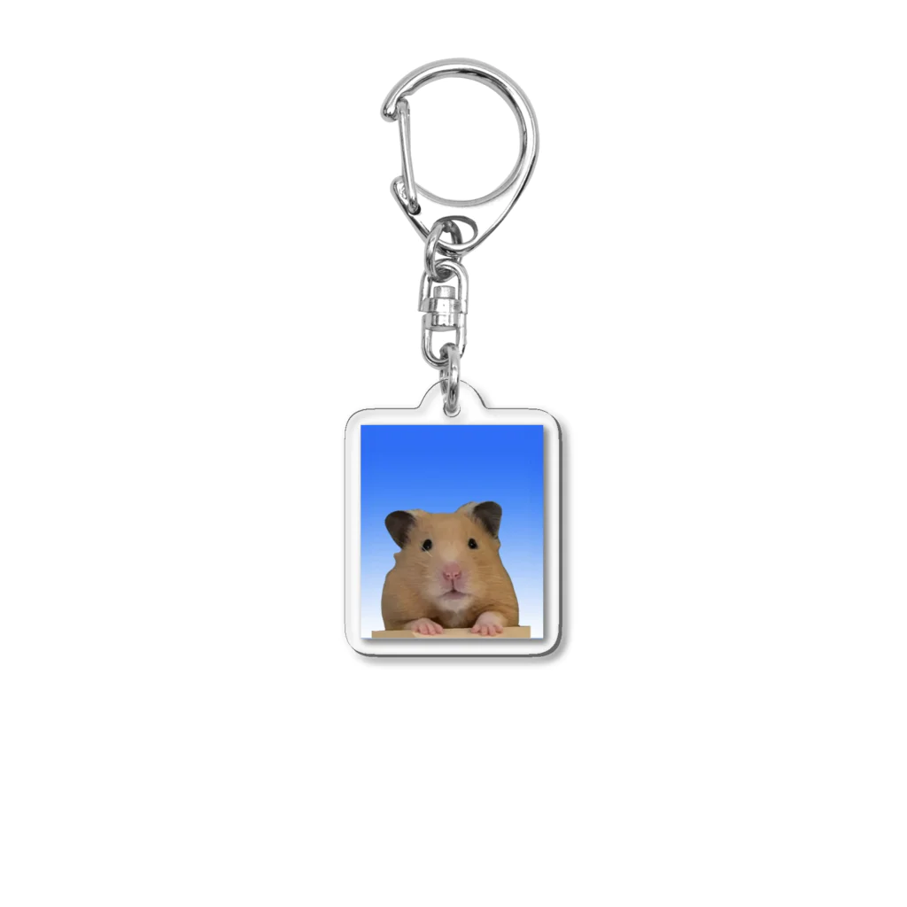 あ さかのきんたま Acrylic Key Chain