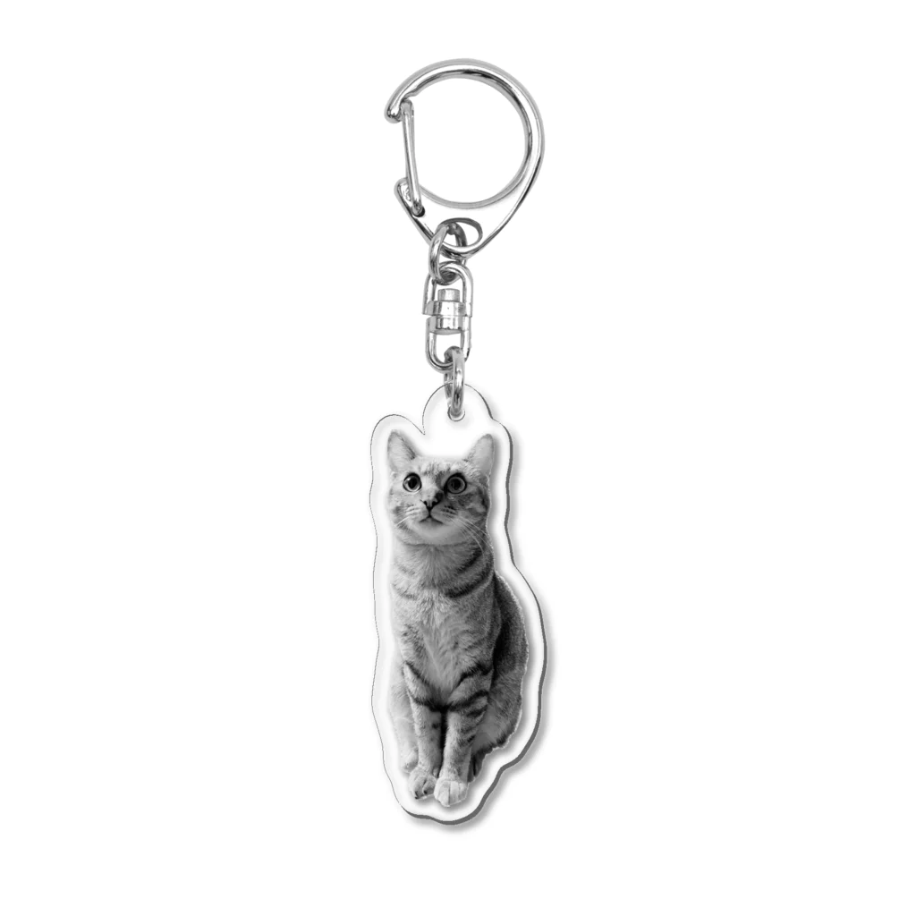 深夜の猫屋さんのしんやねこ Acrylic Key Chain