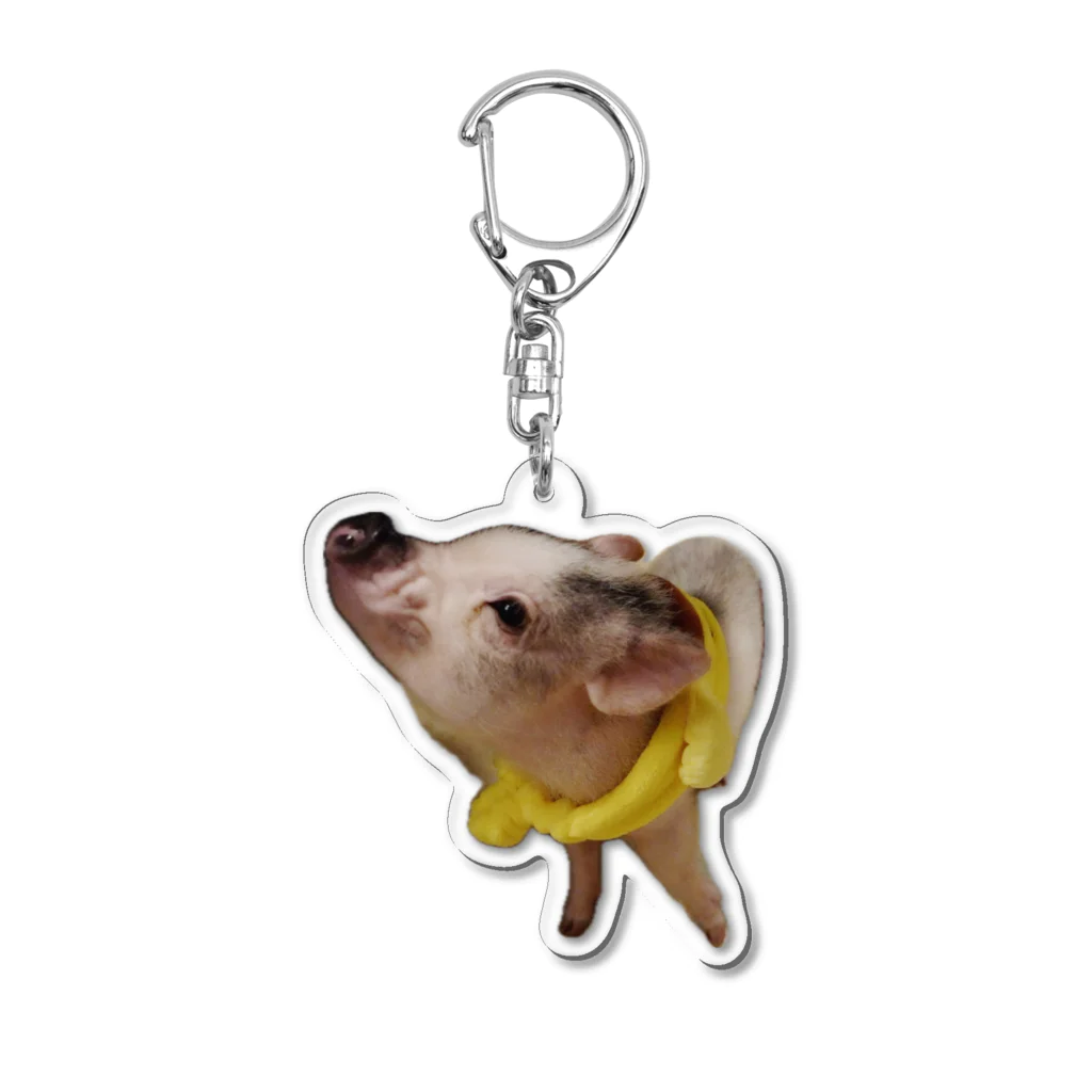 マイクロブタのまっはくんのくんくん yellow Acrylic Key Chain