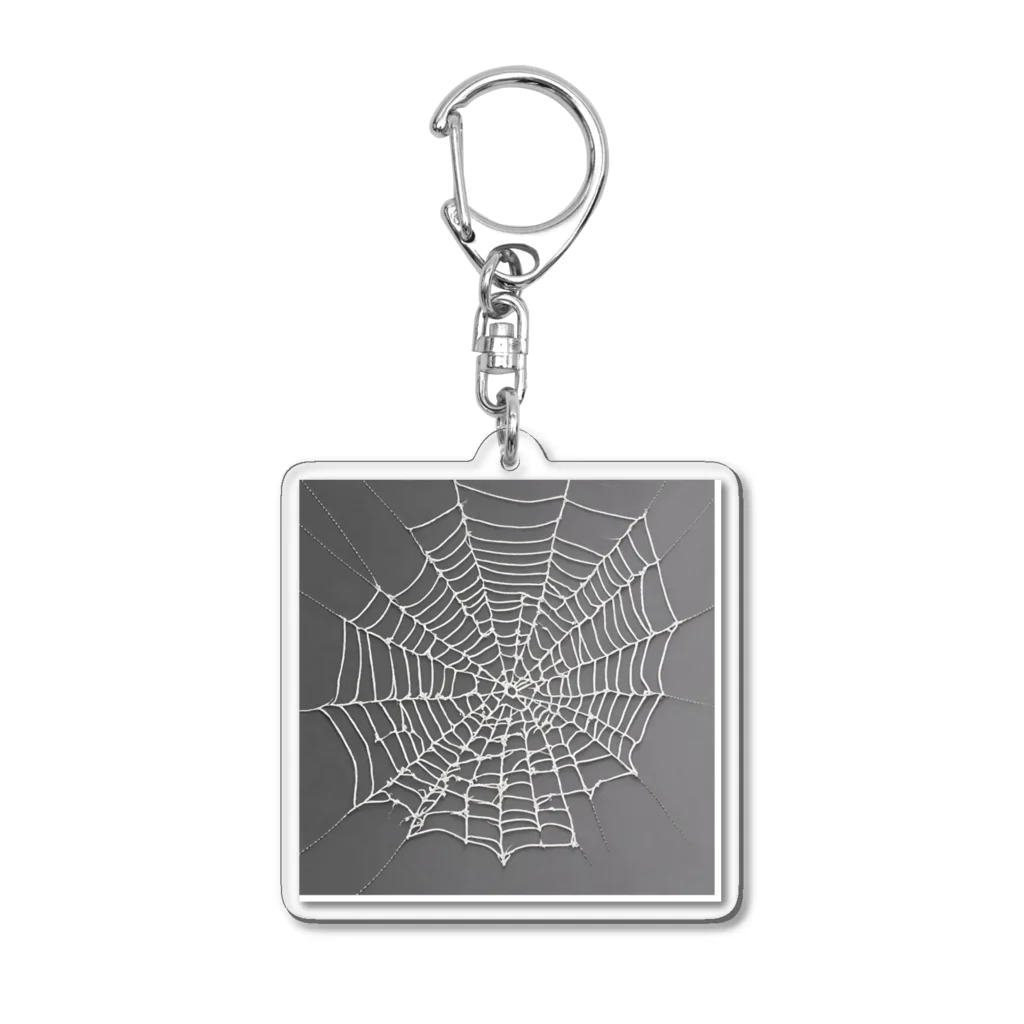 　Mtスペースの蜘蛛の巣 Acrylic Key Chain
